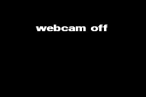 Webcam grab