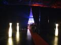 Everyone walks a red carpet into the gig