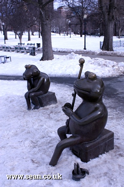 Photo of the frog pond in Boston, USA