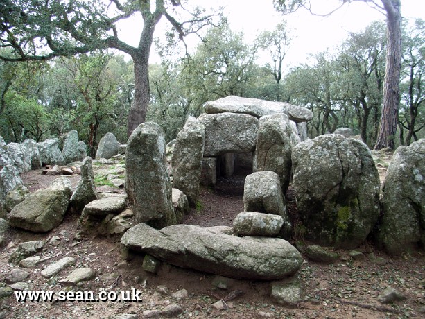 Photo of the dolmen of the Cova d'en Daina in Spain
