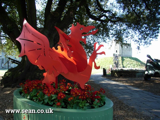 Photo of a Welsh dragon in Wales