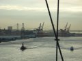 The view from the Brooklyn Bridge