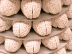 Brains statue