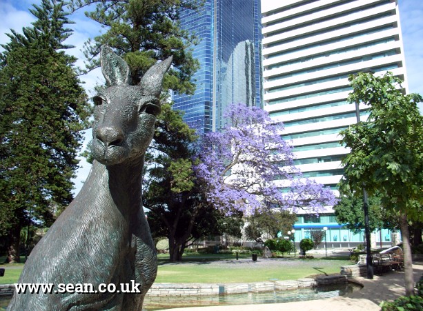Photo of a kangaroo sculpture in Australia