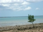 a beach at Darwin