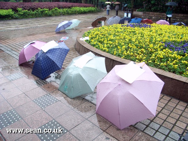 Photo of umbrellas in the People's Park in China