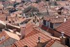 red tiled rooftops