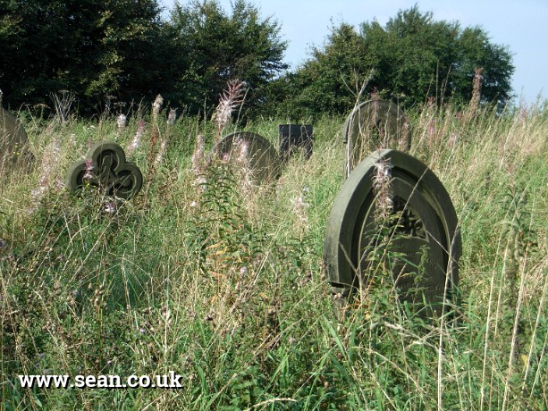 Photo of overgrown headstones in England