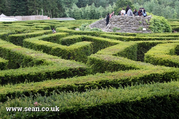Photo of the hedge maze at Leeds Castle in England