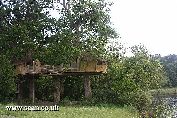 Photo of a treehouse, France in France