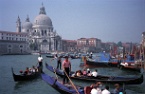 goldolas in Venice, Italy