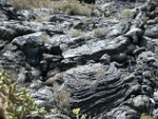 solidified lava flows, Lanzarote