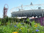 the Orbit, Stadium and wild flowers