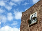 a bird's nest on a building