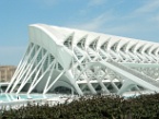 the Science Museum, Valencia