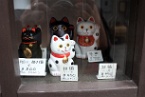 lucky cats in Japan