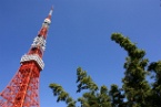 the top of the Tokyo Tower