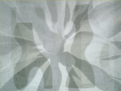 A composite of three monochrome images, including a flower, abstract paper cut-outs, and water on glass
