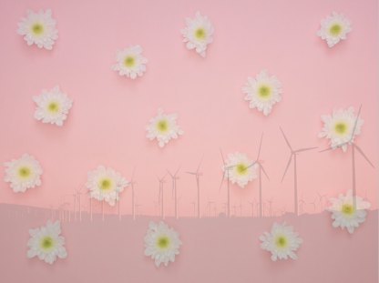 A composite of daisies over a photo of modern wind turbines, with a pink wash across it