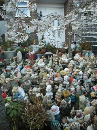 Garden gnomes in front of house